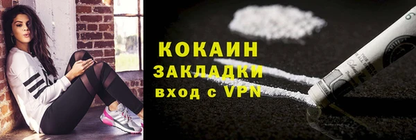 индика Навашино