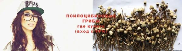 индика Навашино