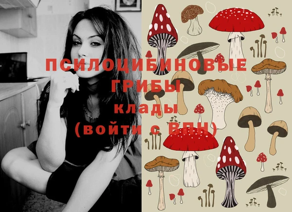 индика Навашино