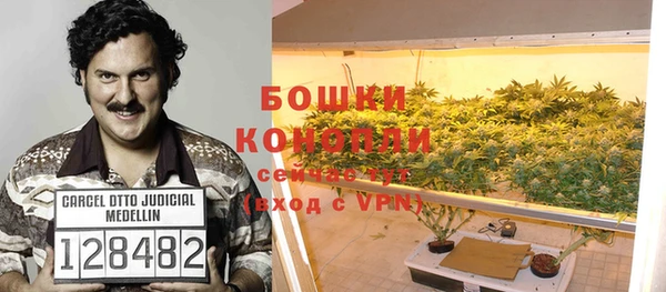 PSILOCYBIN Нефтекумск