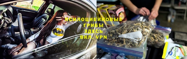 индика Навашино